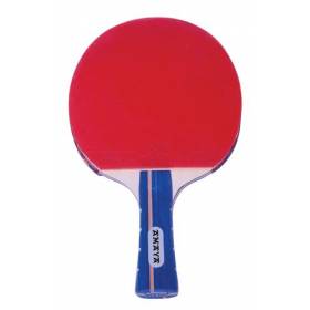 Raqueta Tenis de Mesa L5802...